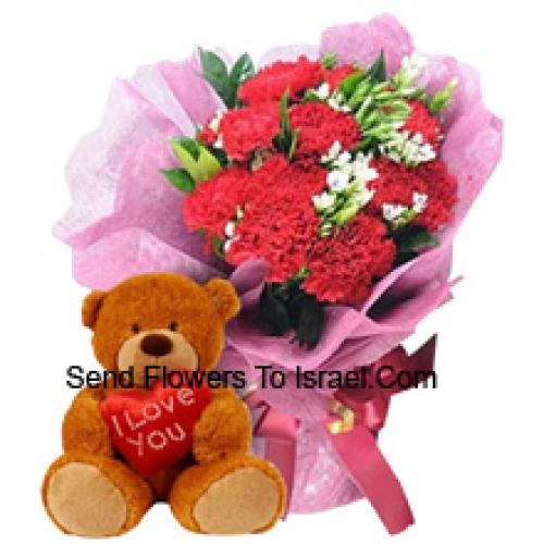 12 Carnations with Cute 12 Inch Teddy