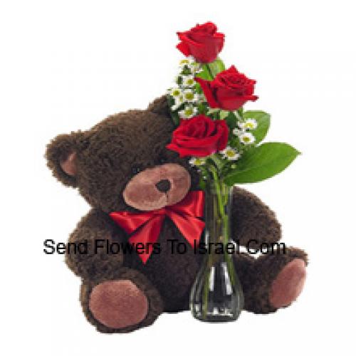 3 Rote Rosen mit wunderschönem 14 Zoll Teddy