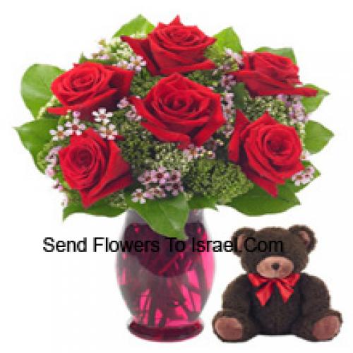 6 Rode Rozen met Schattige 14 Inch Teddy