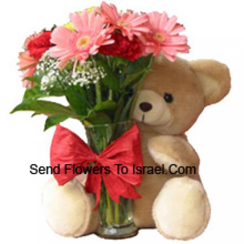 12 Red Carnations and Pink Gerberas with Teddy