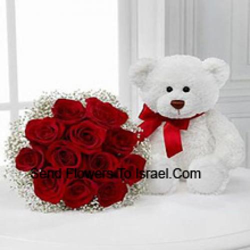 12 Red Roses with 14 Inch Cute Teddy