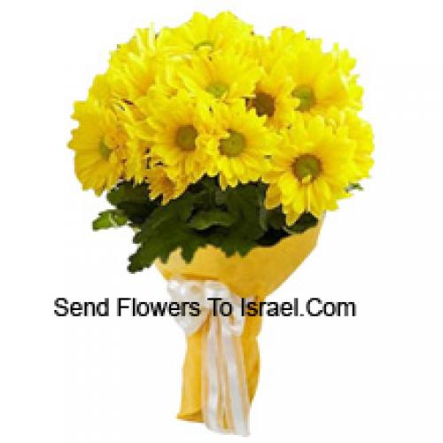 Cool 18 Yellow Gerberas