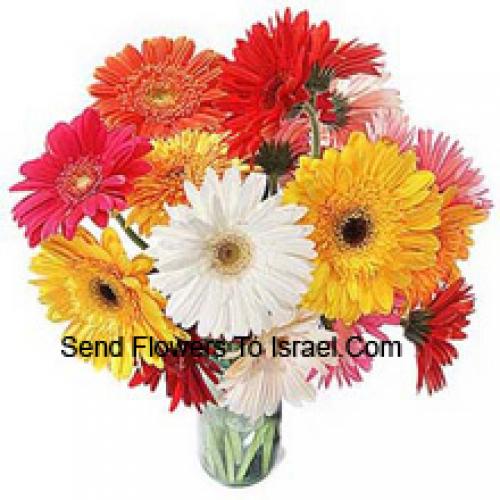 18 Cute Mixed Gerberas