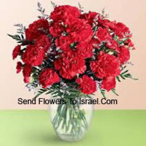 36 Red Cute Carnations