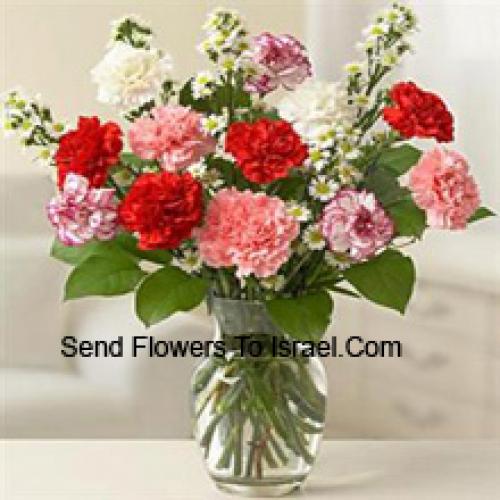 Cute 12 Mixed Carnations