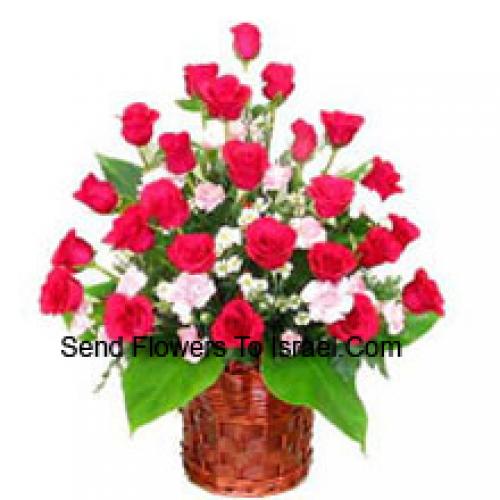 24 Fresh Red Roses