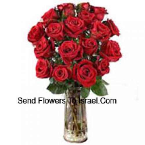 18 Shiny Red Roses