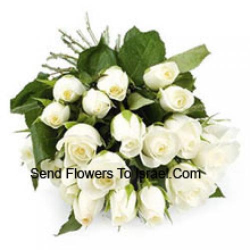 24 Charming White Roses