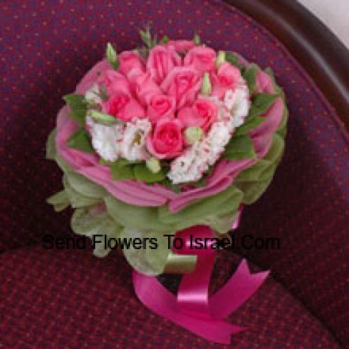 Calde 12 Rose Rosa