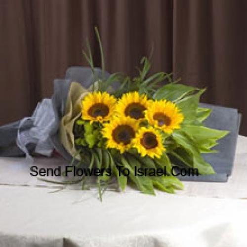 Handverlesenes Sonnenblumenbündel