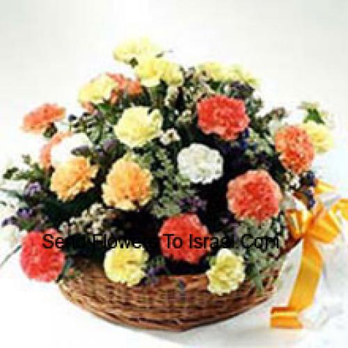 Elegant 24 Mixed Carnations