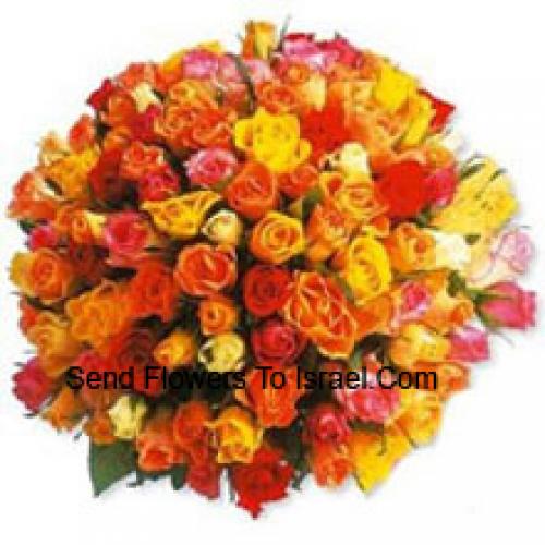 100 Lovely Mixed Roses