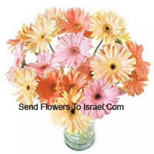 24 Fancy Assorted Gerberas