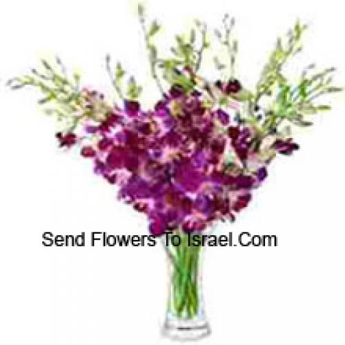 Elegant Orchids in Vase