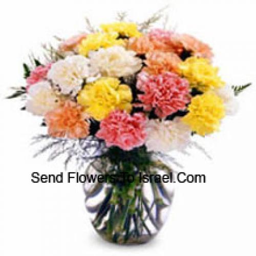 12 Elegant Mixed Carnations