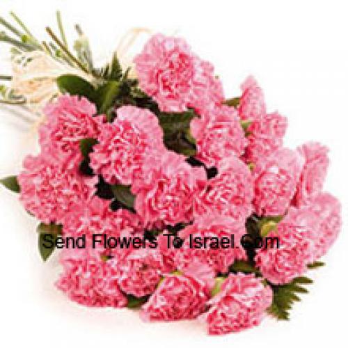 24 Pink Carnation Bunch