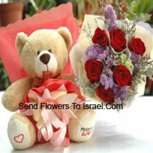 Schöner Teddy mit 6 schönen Rosen