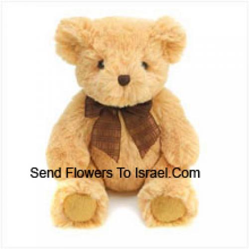 Cuddly 6 Inch Brown Teddy