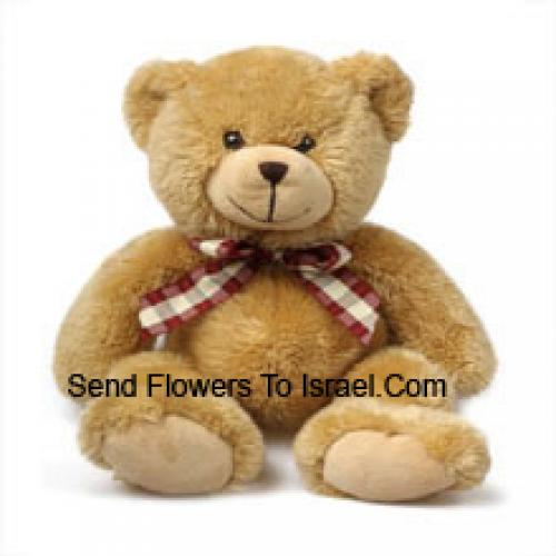 Lovely 12 Inches Teddy Bear