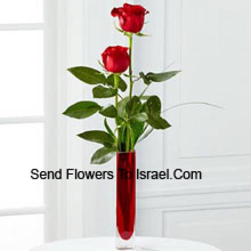 2 Sweet Red Roses in Vase