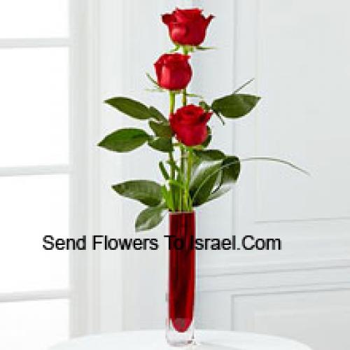 3 Cute Red Roses