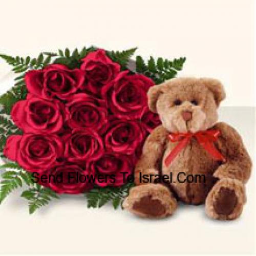 12 Rote Rosen mit niedlichem braunen Teddy