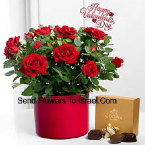 24 Rosas Vermelhas com Deliciosos Chocolates Godiva